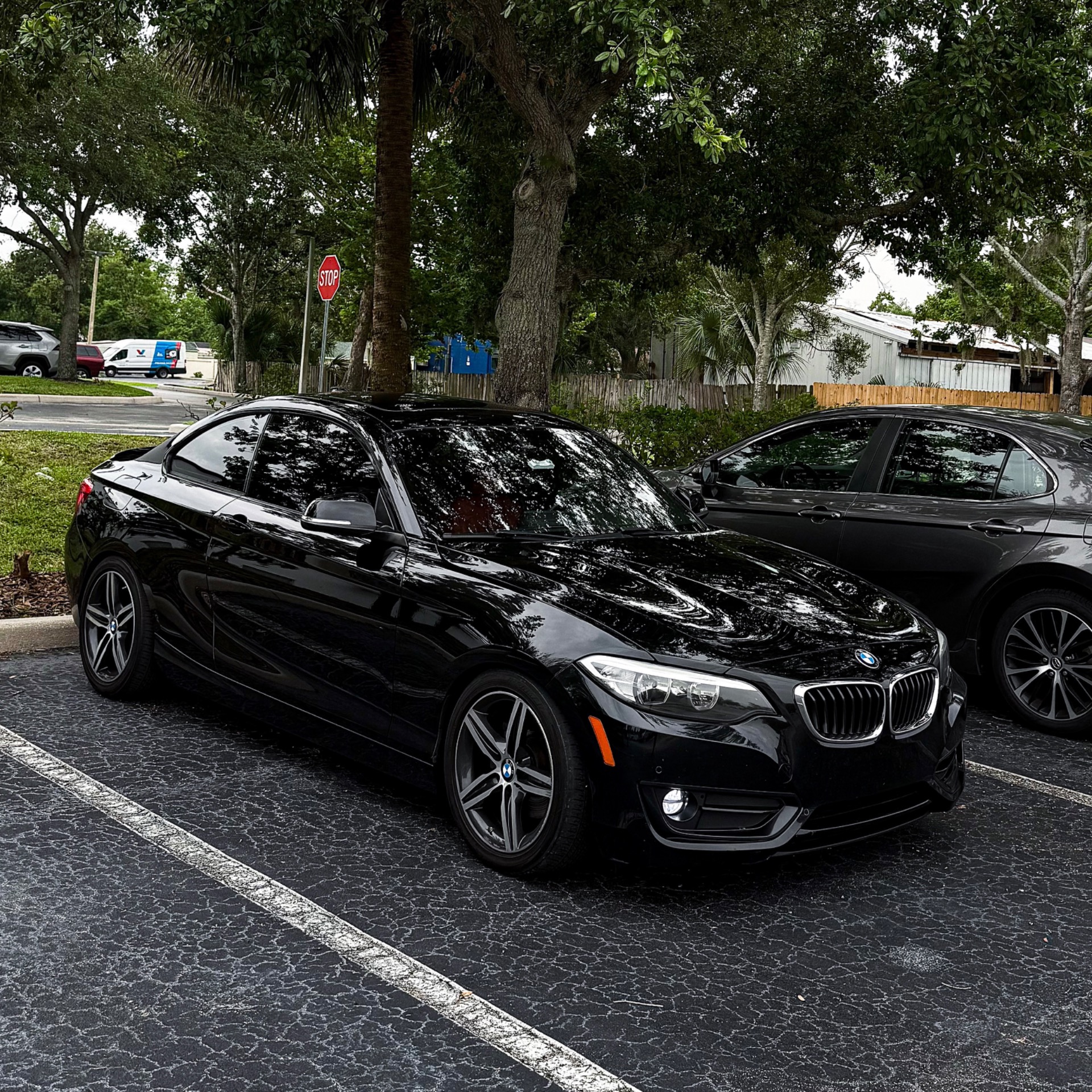 My BMW 230i
